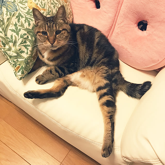 lavie0125さんの実例写真