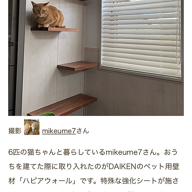 mikeume7さんの実例写真