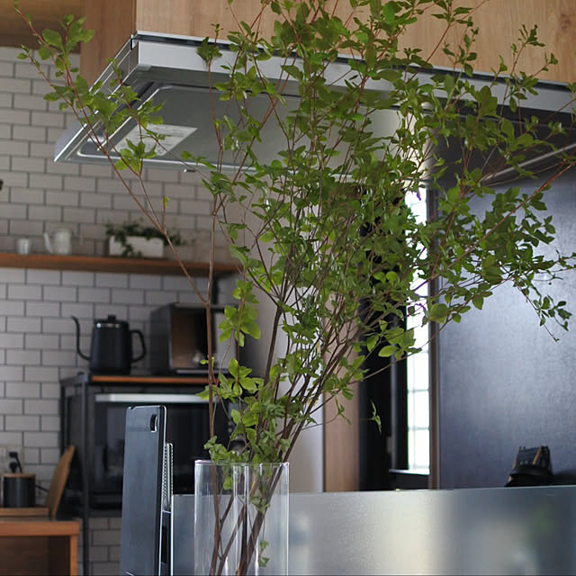 one_story_houseさんの実例写真