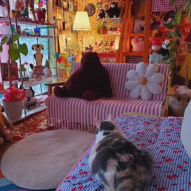 kumutanさんの実例写真