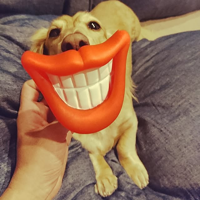 cocosorasakuさんの実例写真