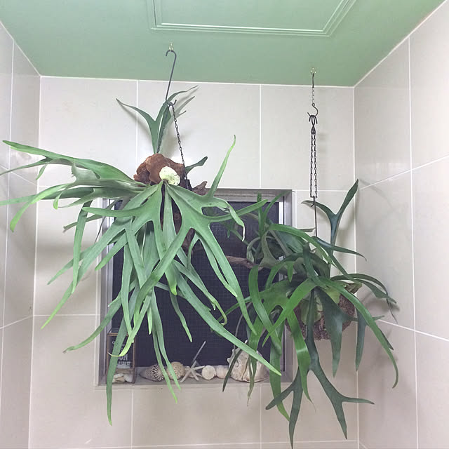 Hiroさんの実例写真