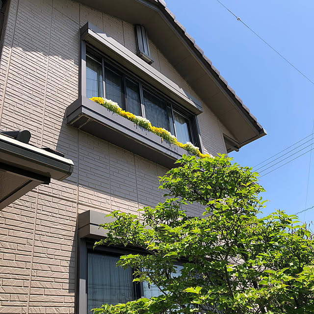 tomoさんの部屋
