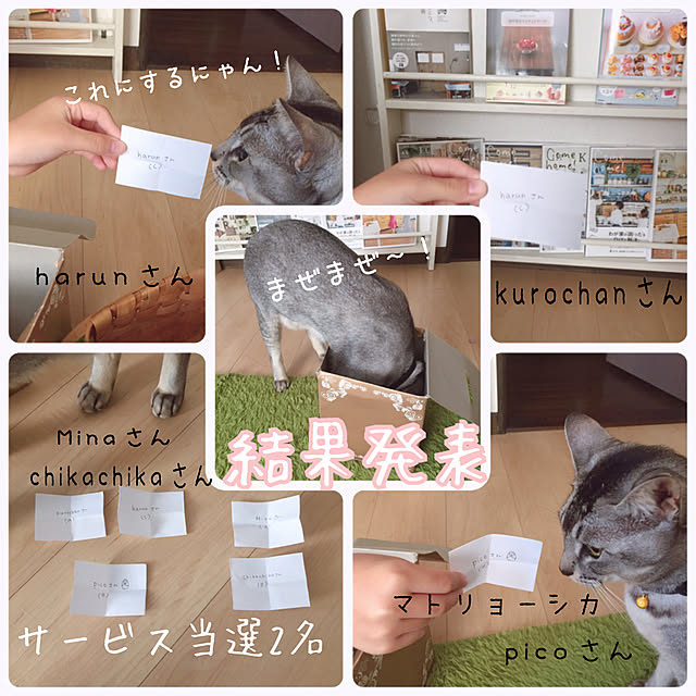 kotoriさんの実例写真