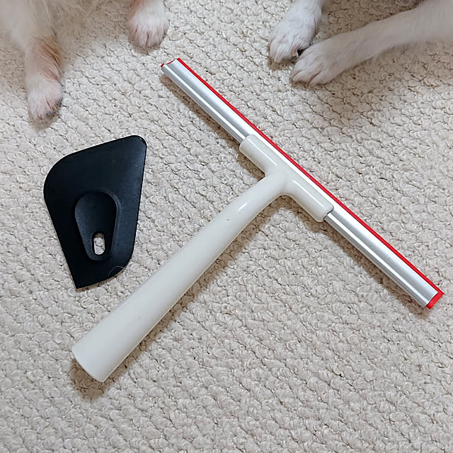 macoさんの実例写真