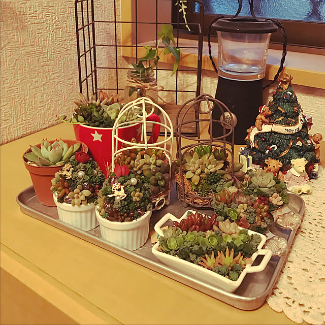 canmilmamaさんの実例写真
