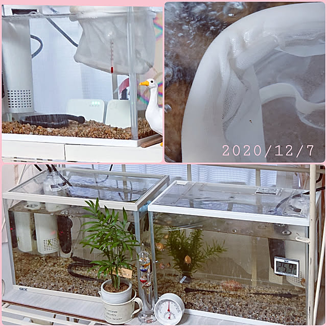 miho.okuさんの実例写真