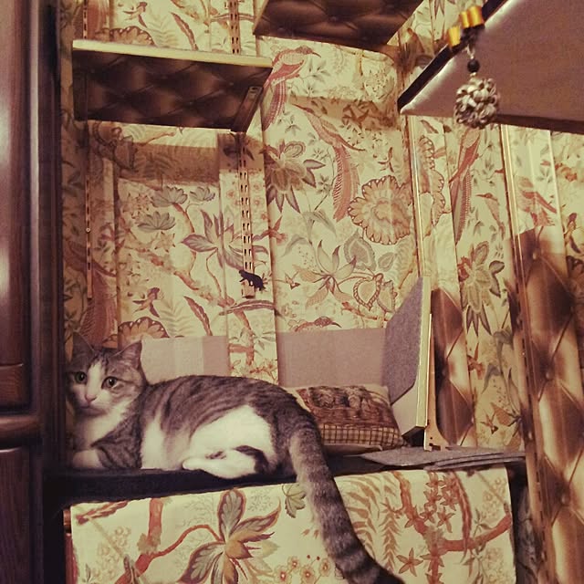 emmyyさんの実例写真