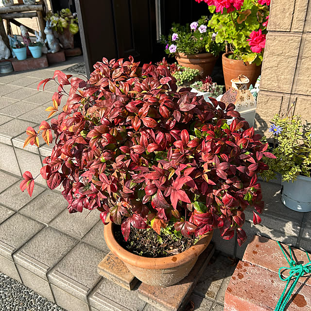 ritsukoさんの実例写真