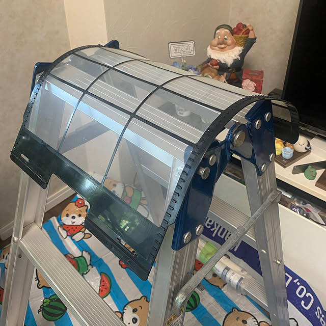 Aqettyさんの部屋