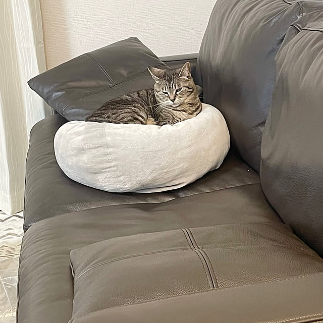 Shinさんの実例写真
