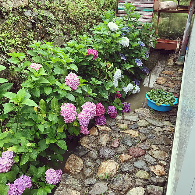 pepeさんの実例写真