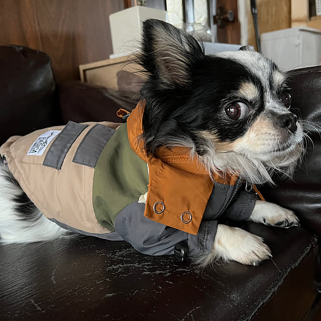 ramu29さんの実例写真