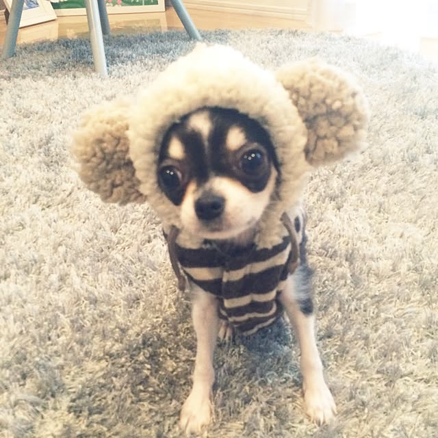 naotin32さんの実例写真