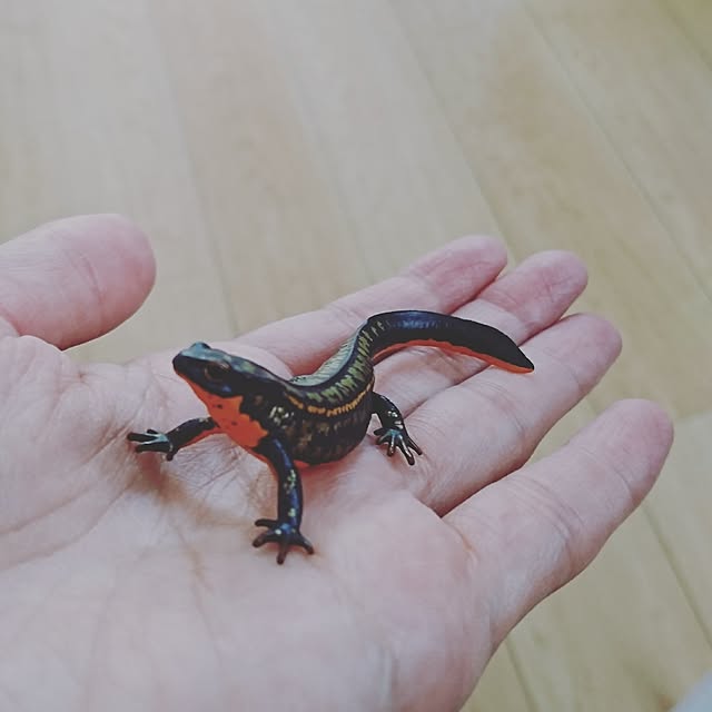 nijintieloveさんの実例写真