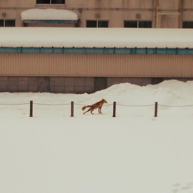 yukkoさんの実例写真