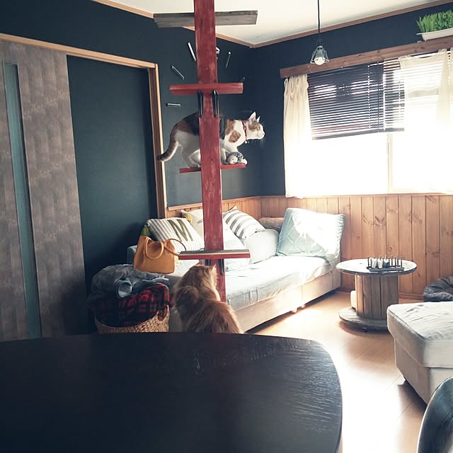 l..tomesanさんの実例写真