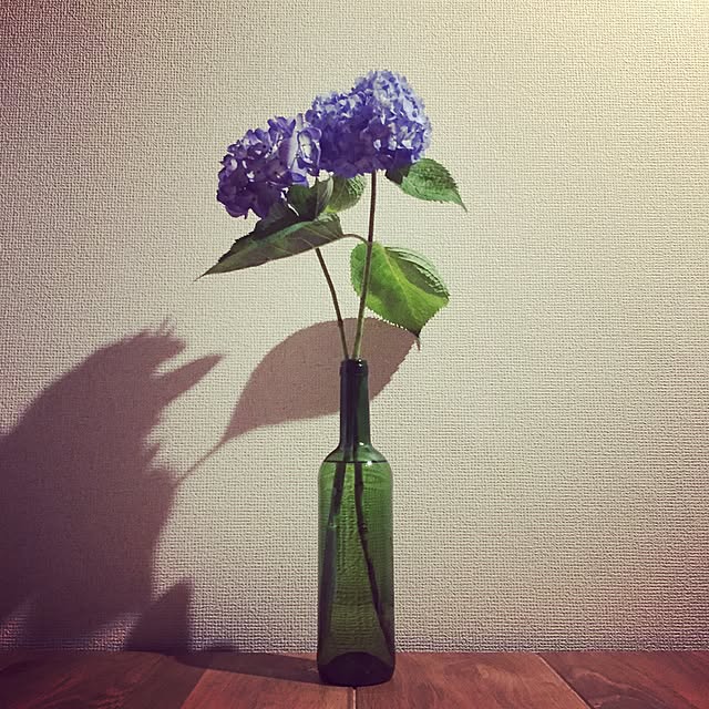 Junさんの実例写真