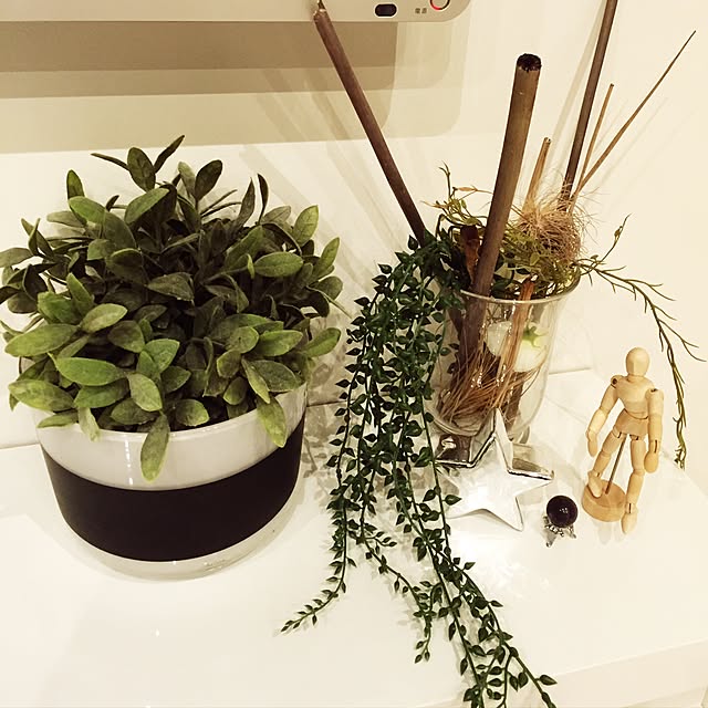 棚/雑貨/植物/セリア/IKEA...などのインテリア実例 - 2016-12-19 12:59:26