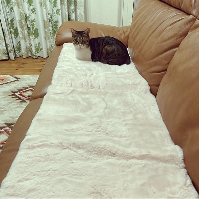 yurari.bonnさんの実例写真