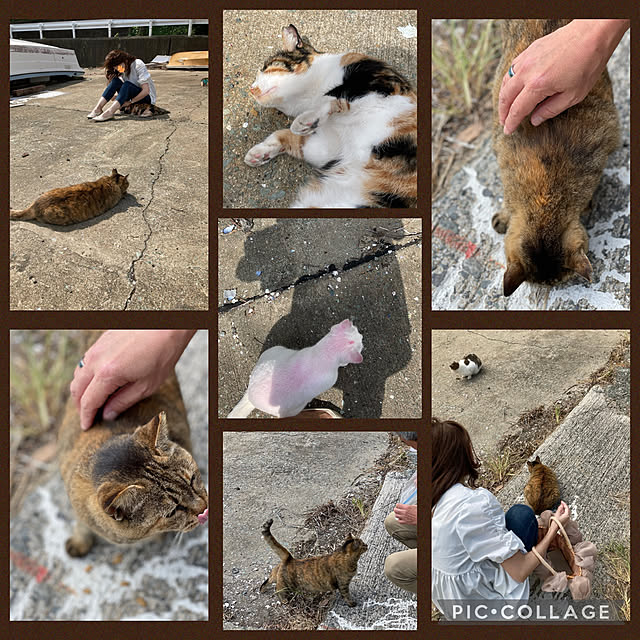 aureaさんの実例写真