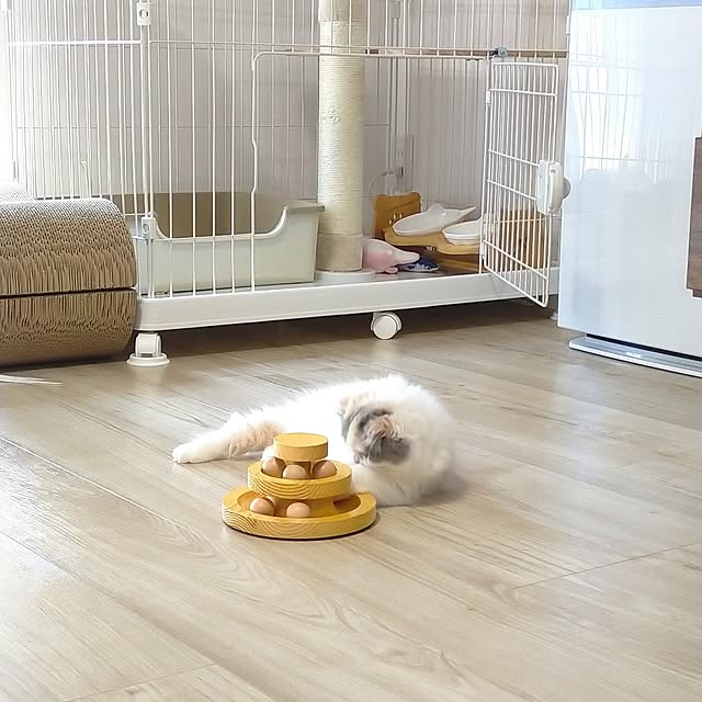 Dmamaさんの部屋