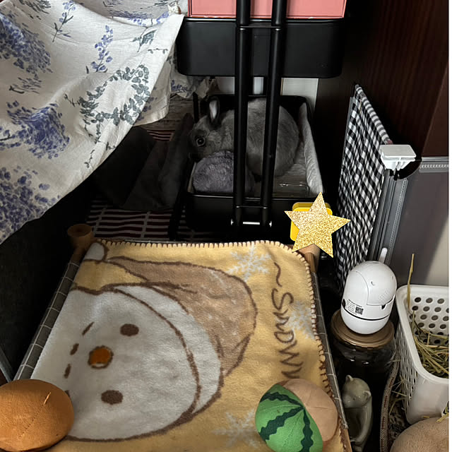 kirariさんの部屋