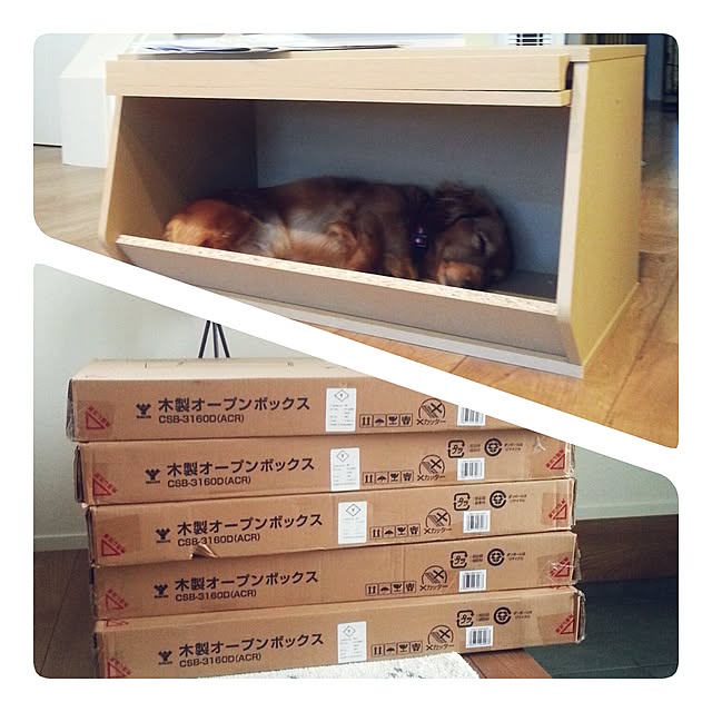 Mayu..さんの実例写真