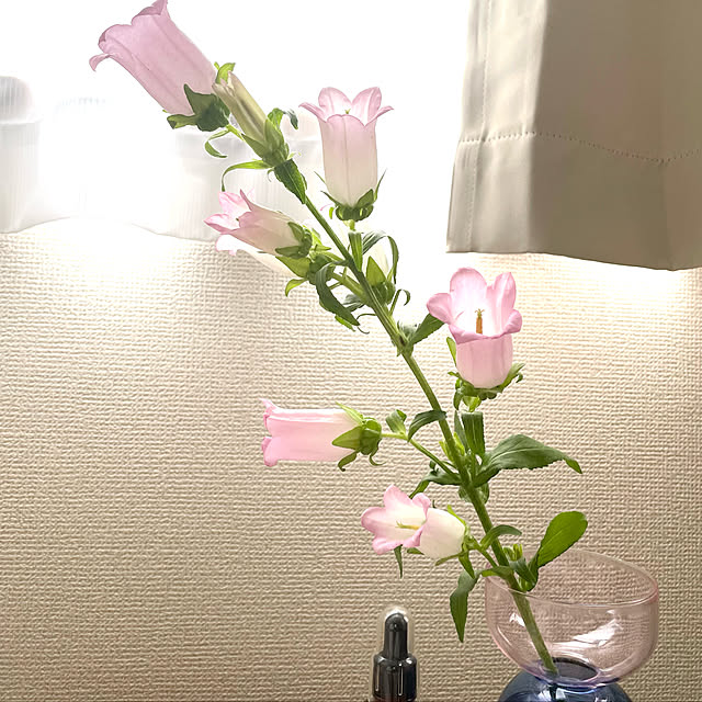 1006さんの実例写真