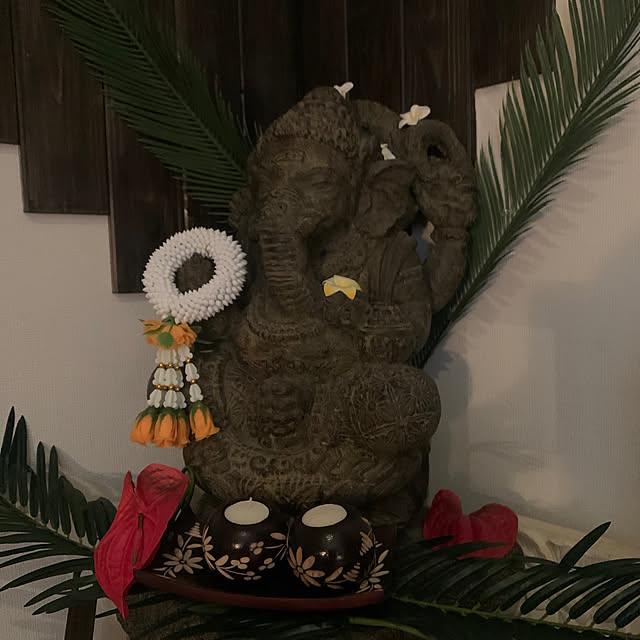 salaさんの実例写真