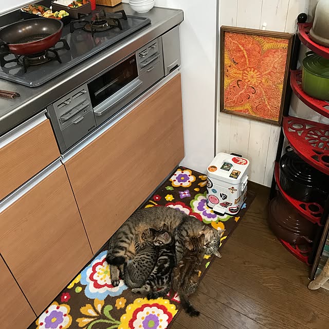 pepeさんの実例写真