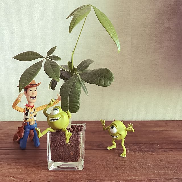 igaguriさんの実例写真