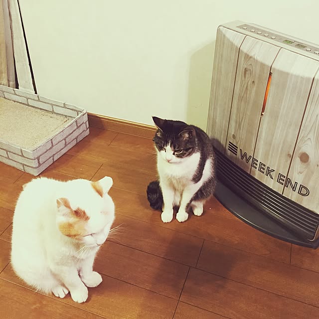 Rettiさんの実例写真