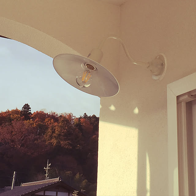 Mariさんの実例写真