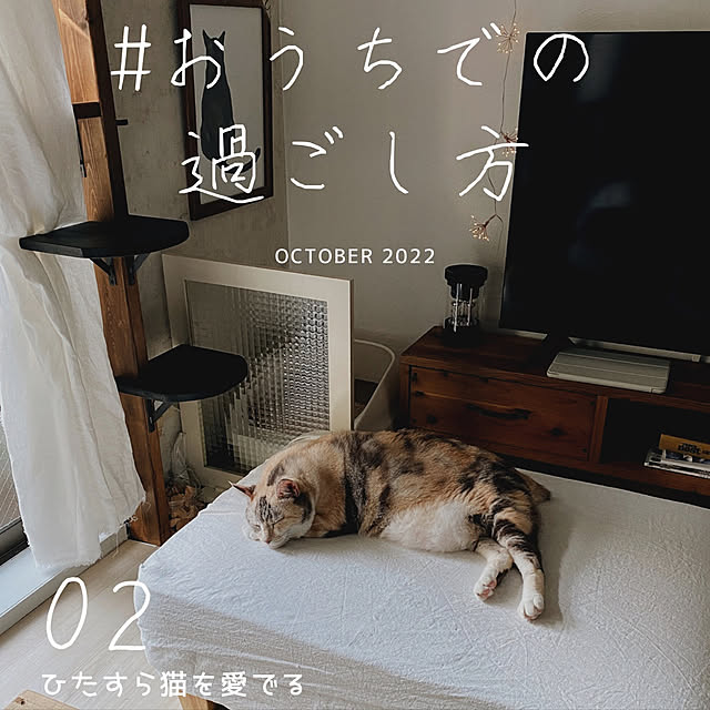 momijiさんの実例写真