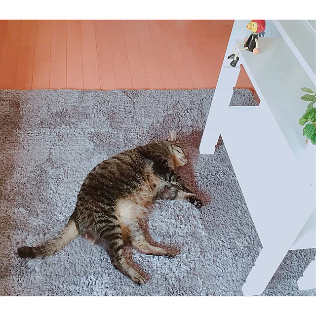 nyan.73さんの実例写真