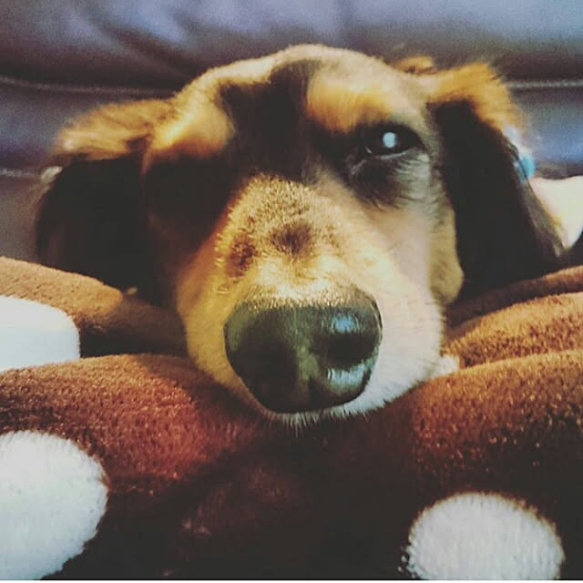 kimikimiさんの実例写真