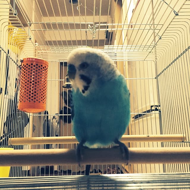 Yusukeさんの実例写真