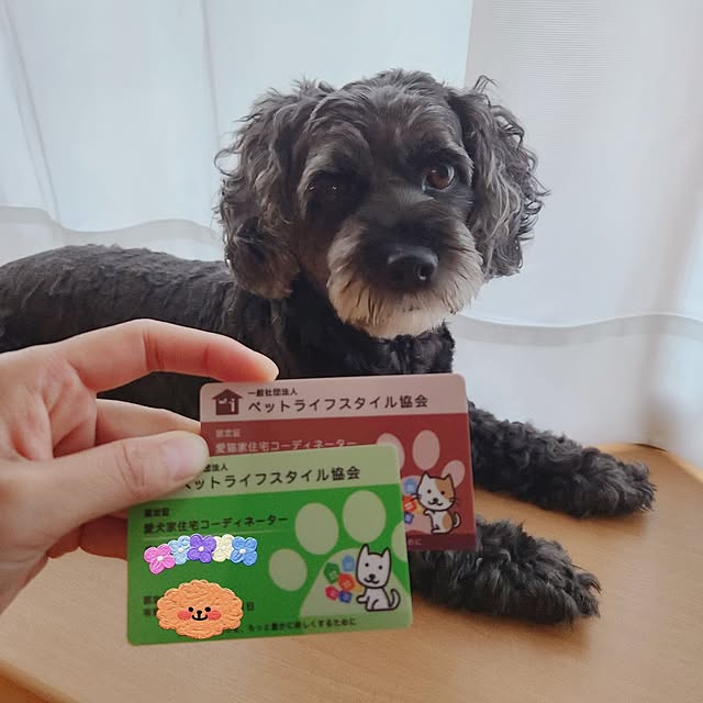 shimaaadsさんの実例写真