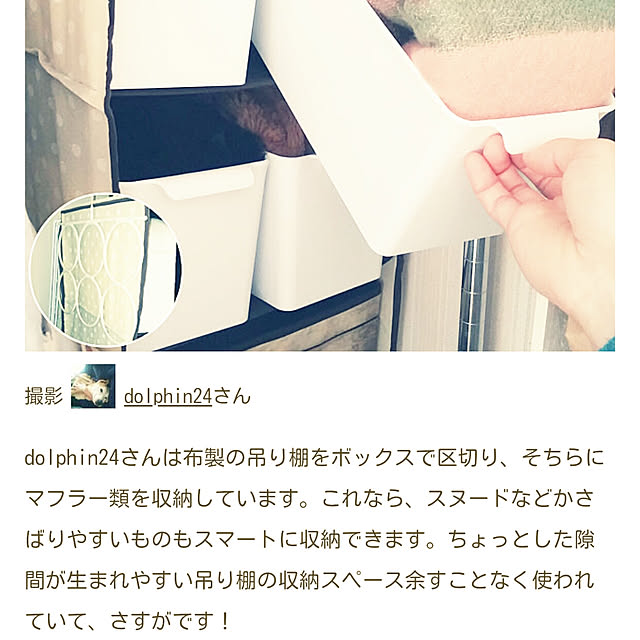 dolphin24さんの実例写真