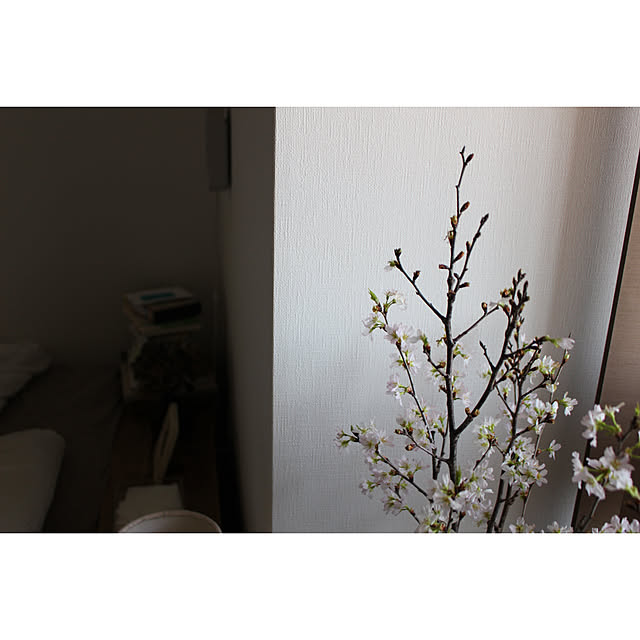 susaayuさんの実例写真