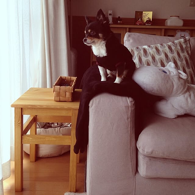 comoさんの実例写真