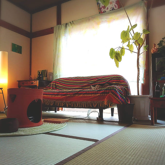 maosa1019さんの実例写真
