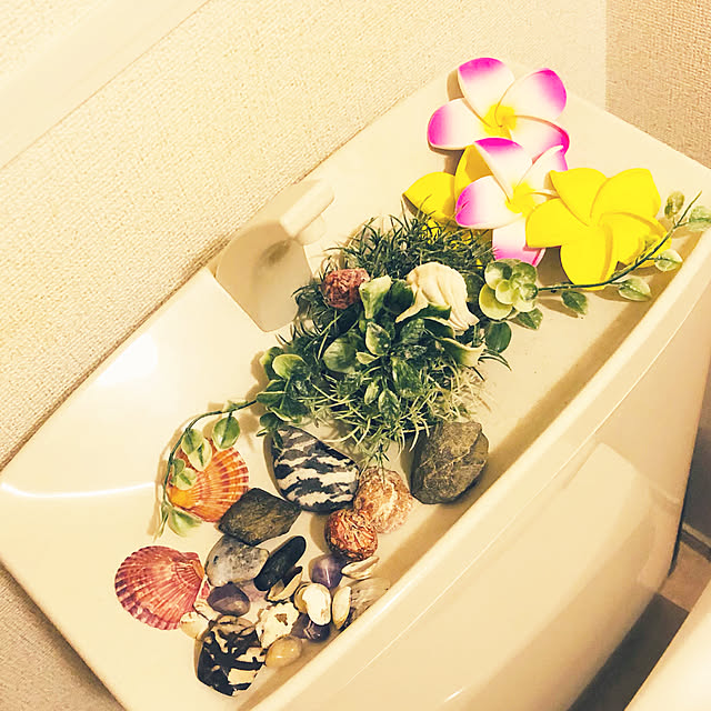 Hisaさんの実例写真