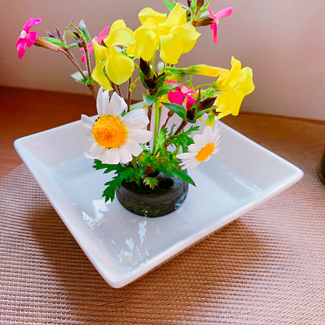 棚/ハンドメイド/花のある暮らし/雑貨/100均のインテリア実例 - 2019-02-24 17:40:28