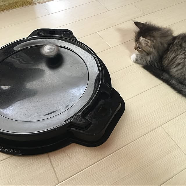 CATさんの実例写真