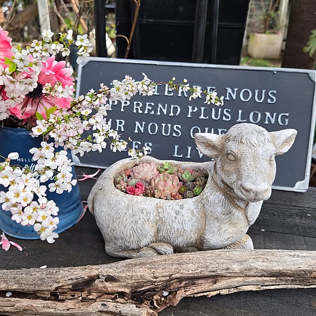 min_nimさんの実例写真