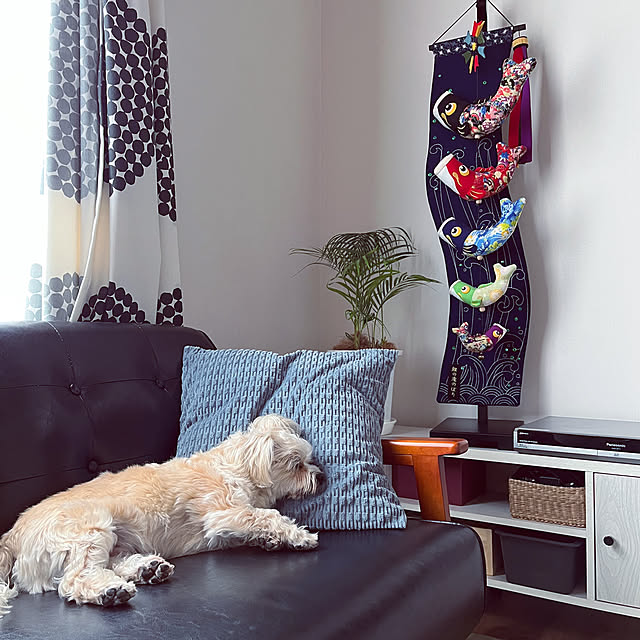 seiさんの実例写真