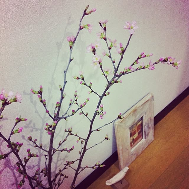 naominさんの実例写真