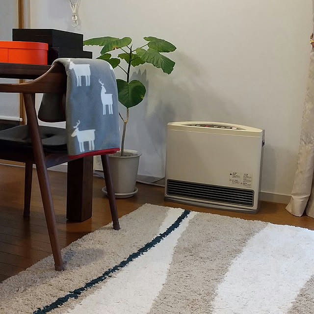 Renさんの実例写真